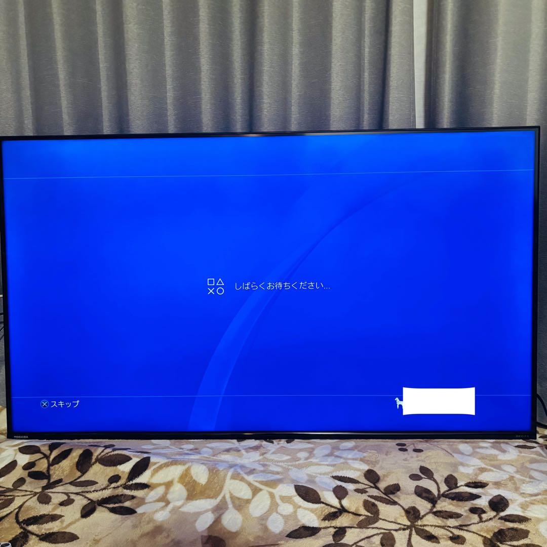 TOSHIBA REGZA 50C350X 4K 大型 テレビ　液晶　22年製