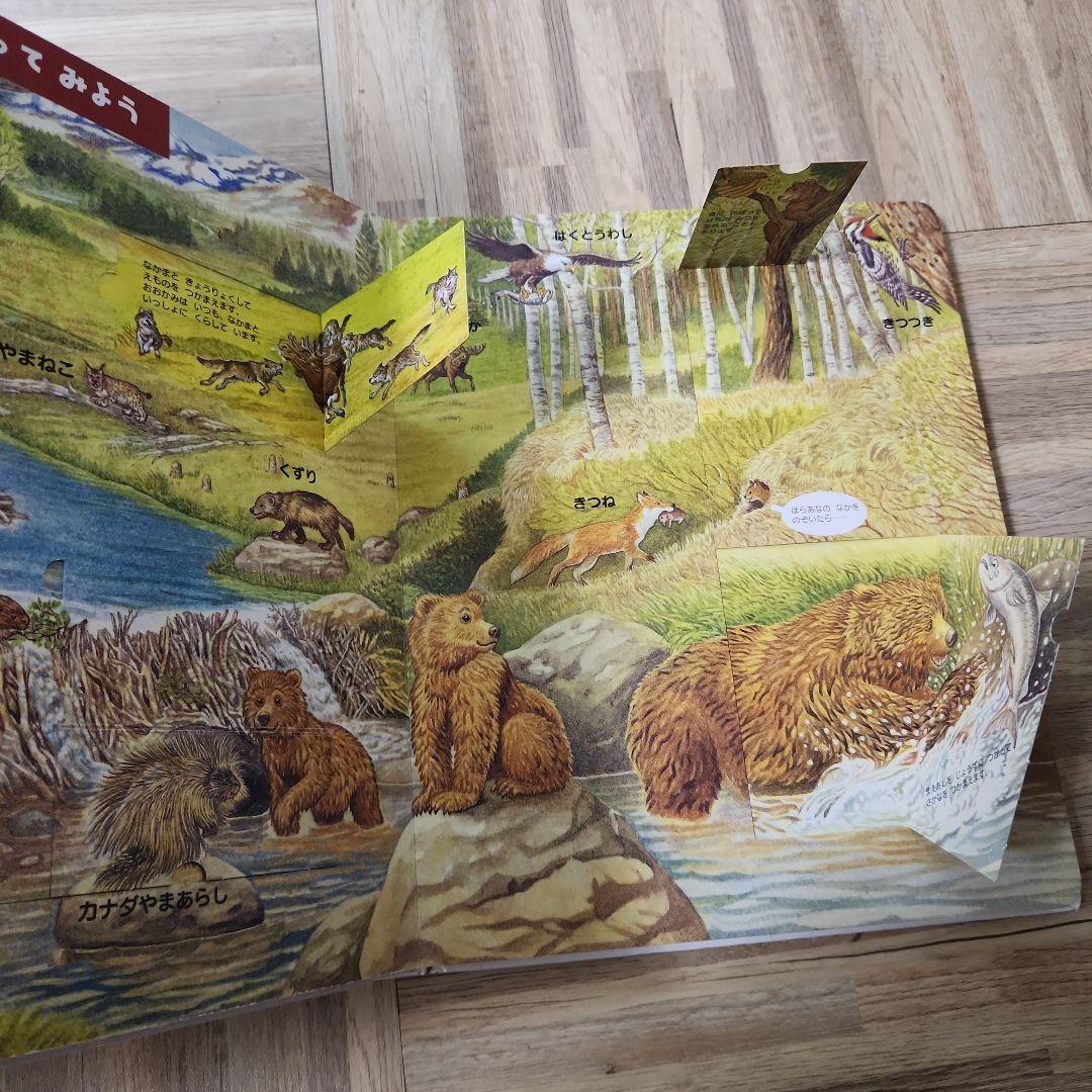 生き物のふしぎ 動物のふしぎ DVD付き