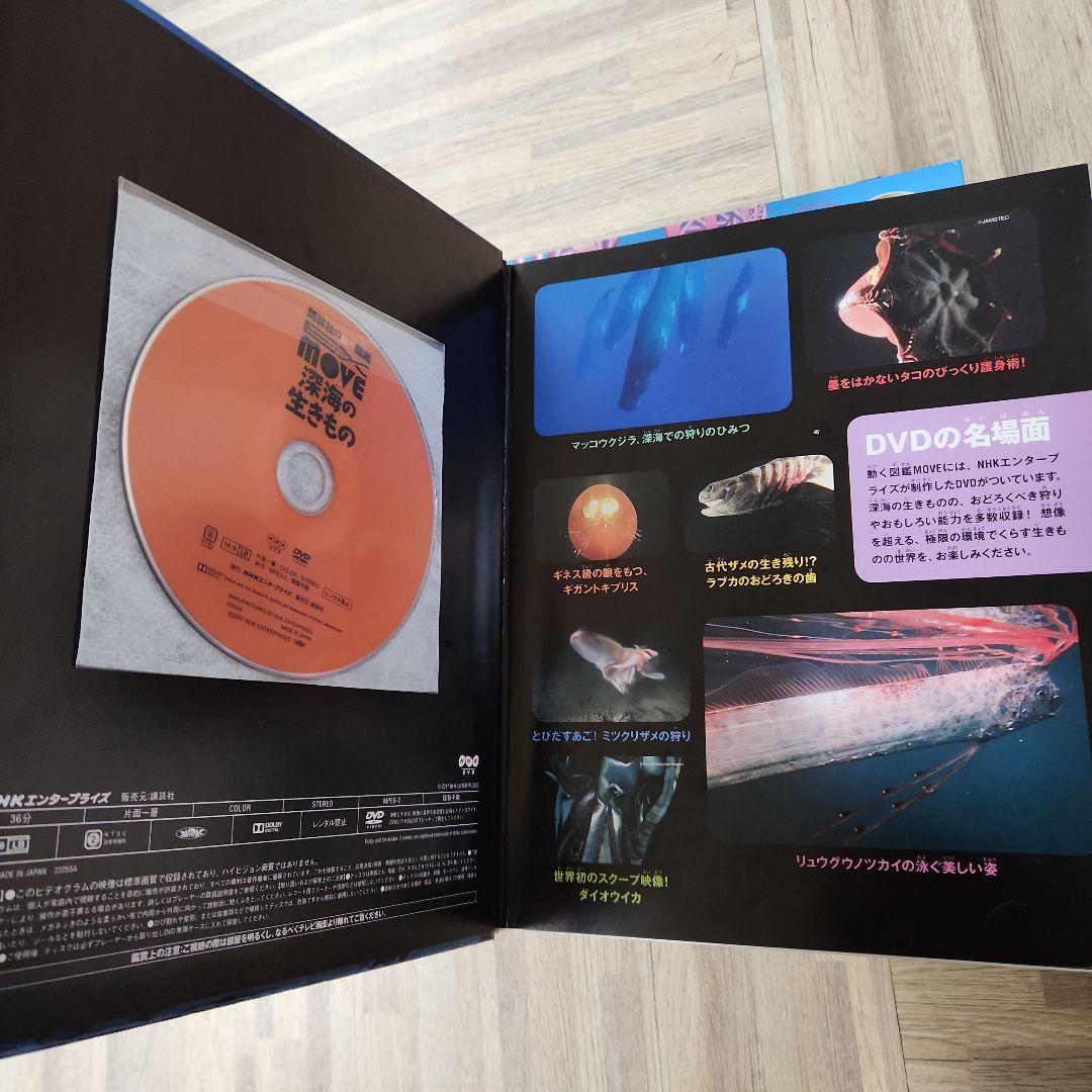 生き物のふしぎ 動物のふしぎ DVD付き