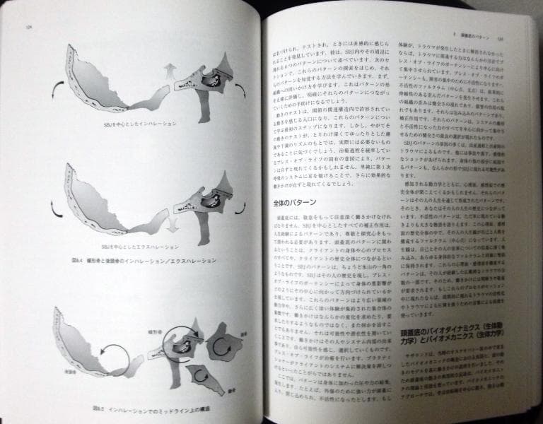 クラニオセイクラル・バイオダイナミクス・vol.2｟新品同様｠