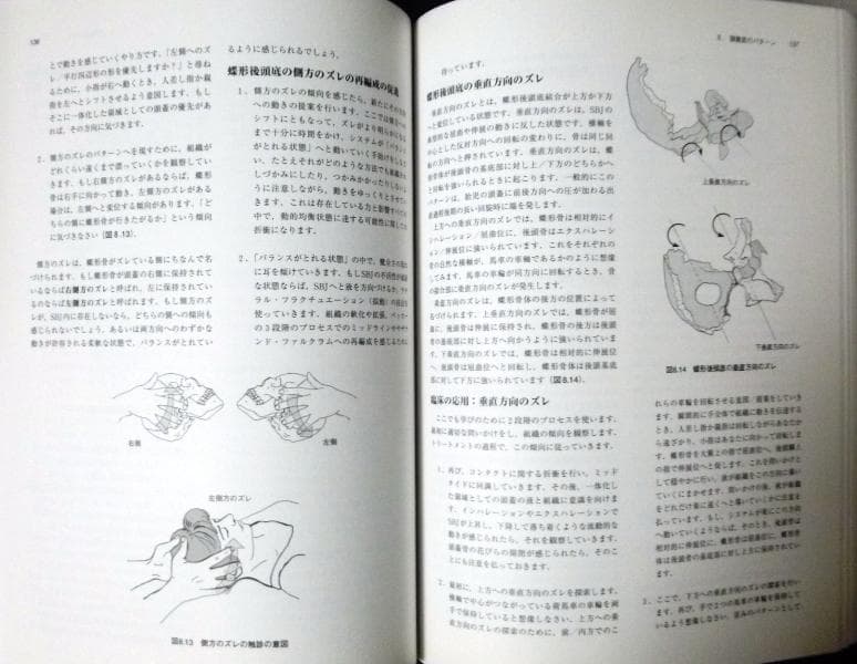 クラニオセイクラル・バイオダイナミクス・vol.2｟新品同様｠