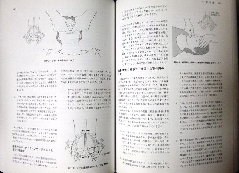 クラニオセイクラル・バイオダイナミクス・vol.2｟新品同様｠