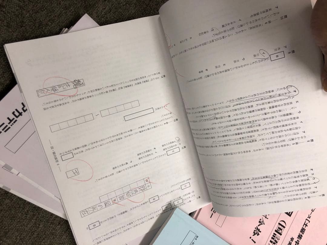 早稲田アカデミー　NN早実クラス　2023年受験　後期/土特/正月/直前　中古