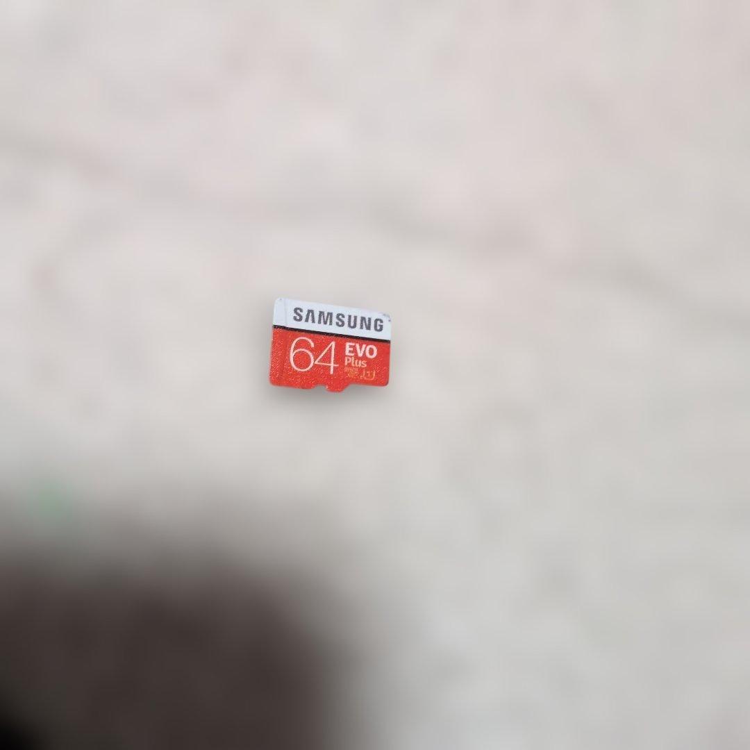 Nintendo Switch グリーン/ピンク SDカード付き