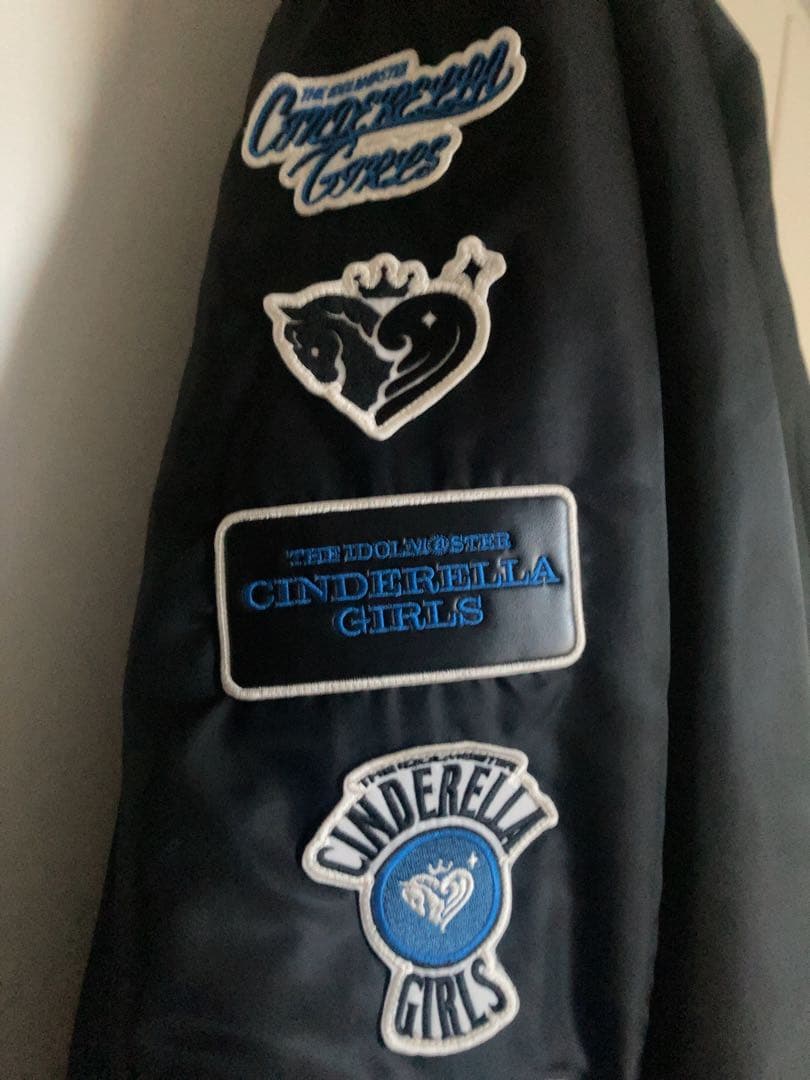 THE IDOLM@STER M@STER EXPO M@-1 XLサイズ