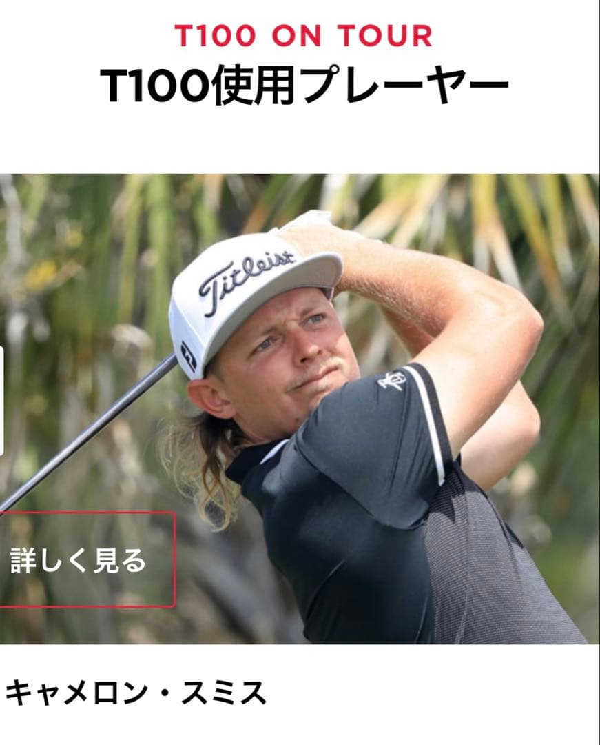 新品 タイトリスト T100 アイアンセット N.S.PRO 105T シャフト