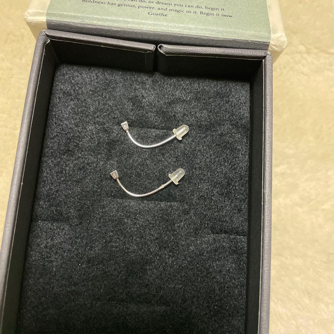 ヒロタカ　アロースクゥエアピアス