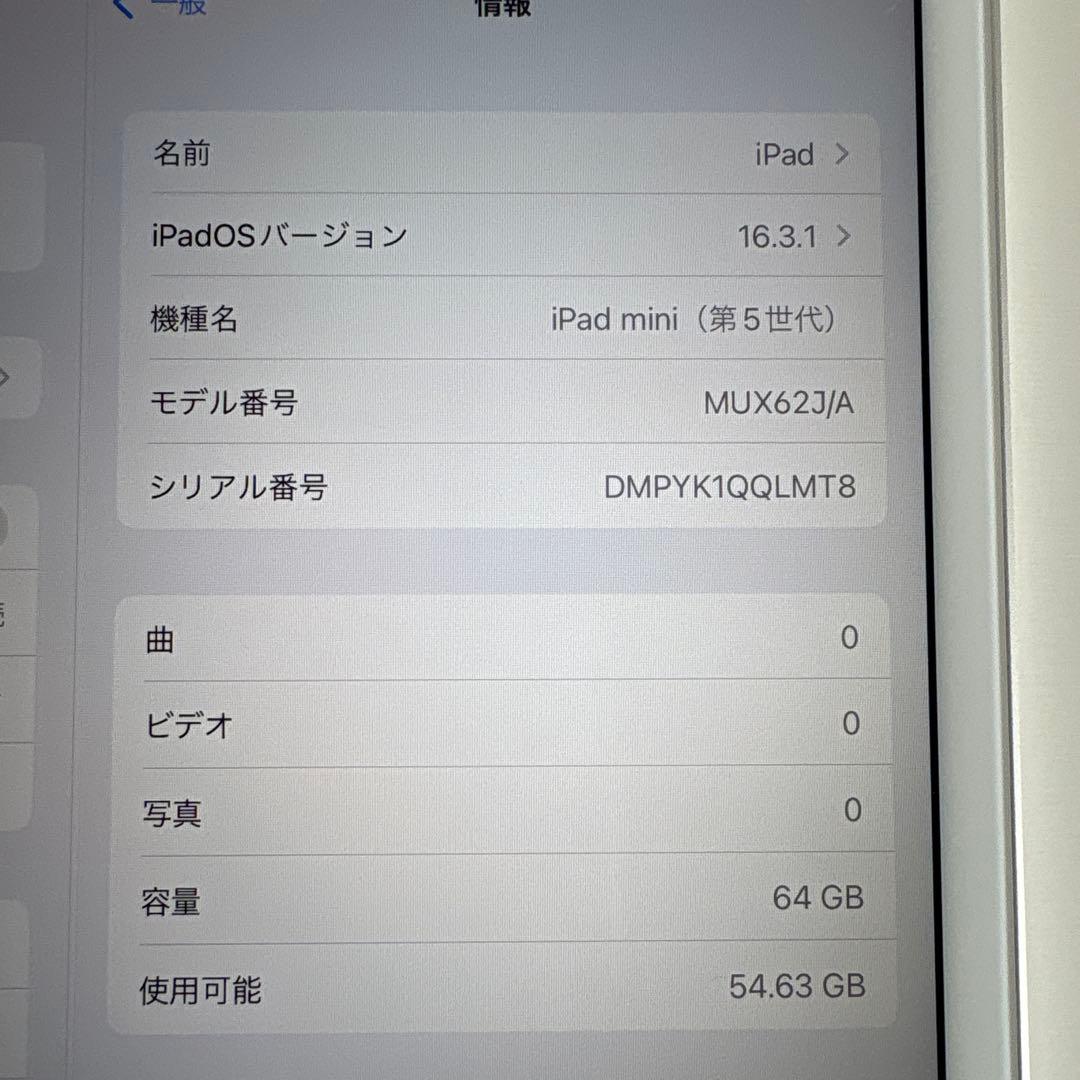 【美品】iPad mini5 セルラー 64GB SIMフリー(65)