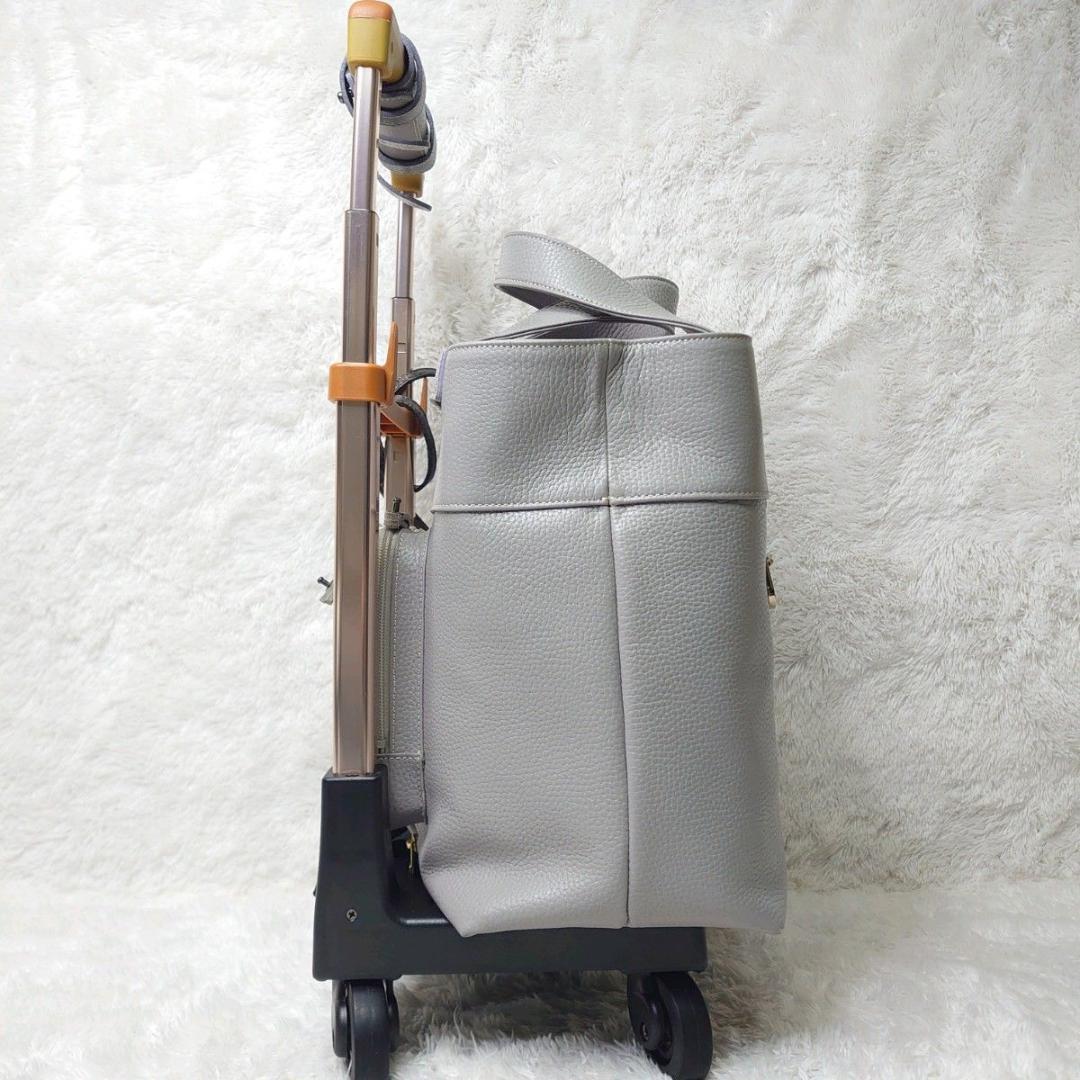 【美品】SWANY スワニー キャリーバッグ ボンジャポネ 専用レインカバー付