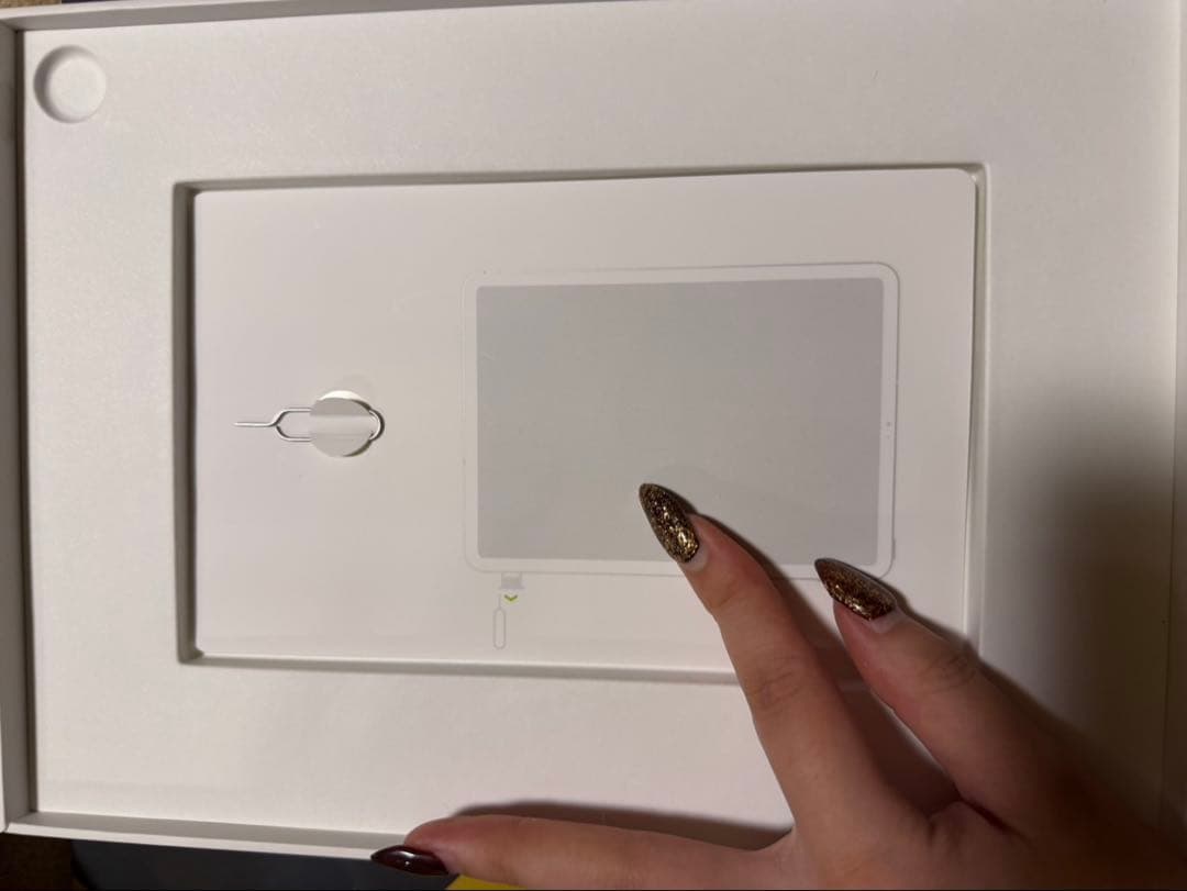 Apple iPad Pro (11インチ)スペースグレー 本体