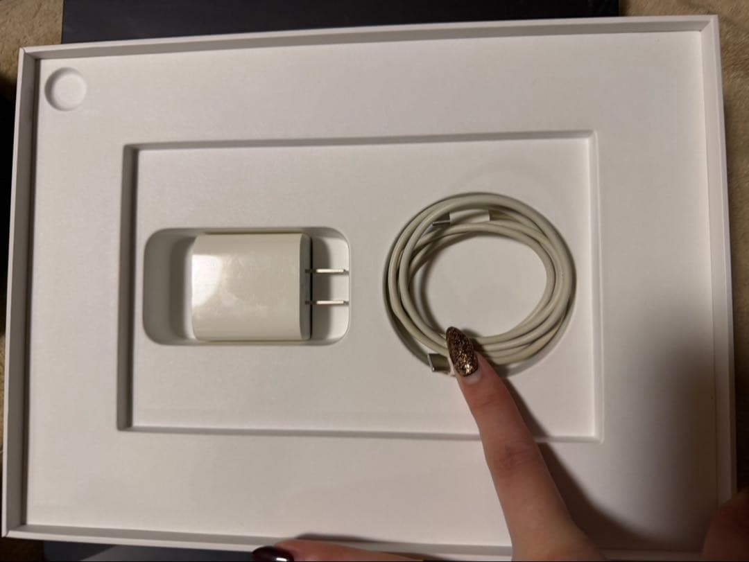 Apple iPad Pro (11インチ)スペースグレー 本体