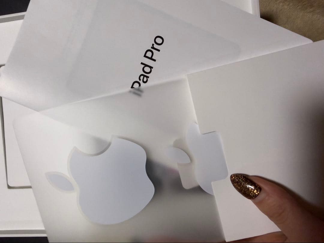 Apple iPad Pro (11インチ)スペースグレー 本体