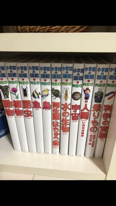 小学館の図鑑NEO 11冊　美品