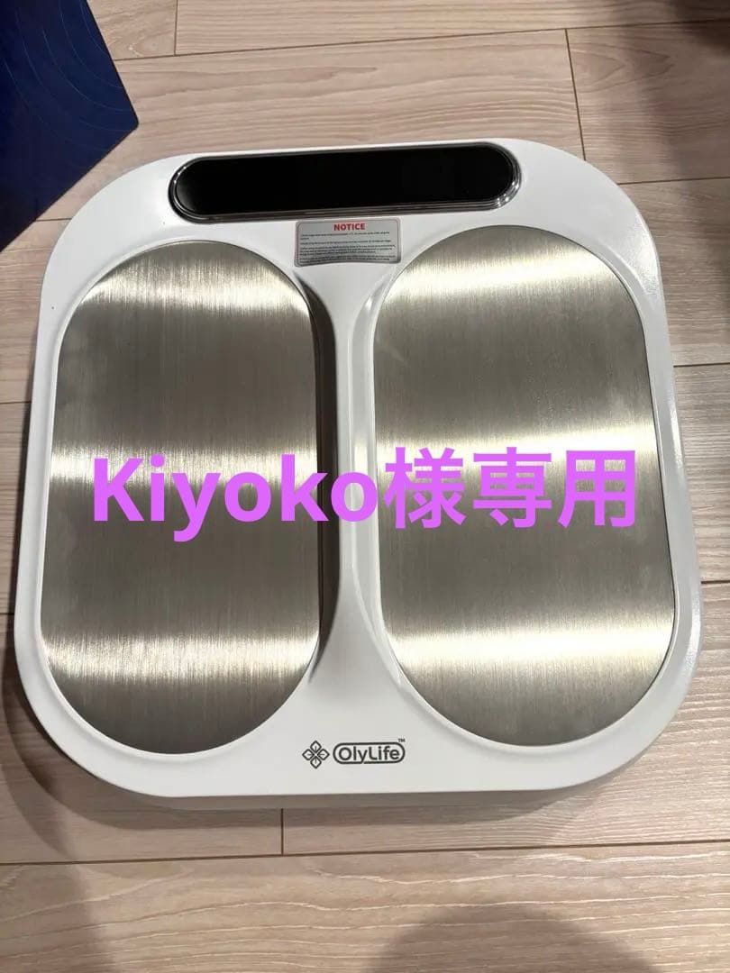 オリーライフ　OlyLife THz Tera-P90　テラヘルツ健康機器