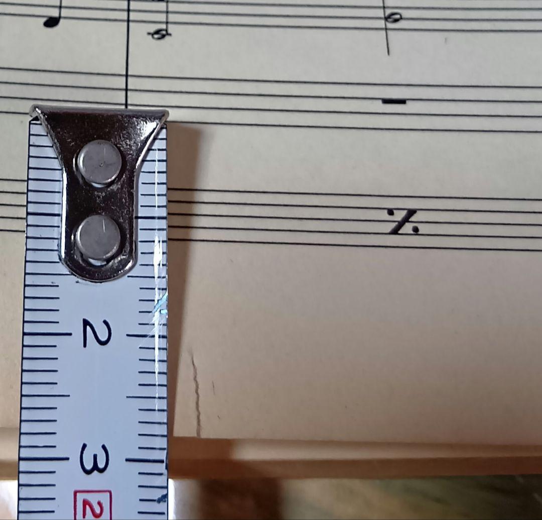 ホワイト・ライオン スコア White Lion 楽譜 バンドスコア