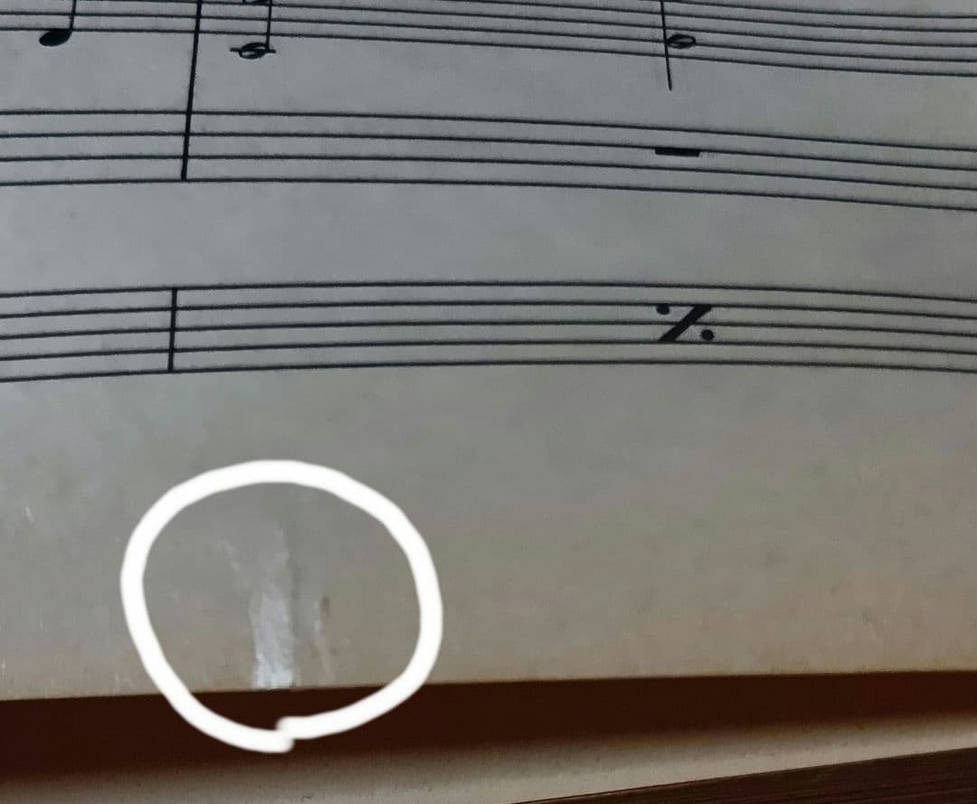 ホワイト・ライオン スコア White Lion 楽譜 バンドスコア