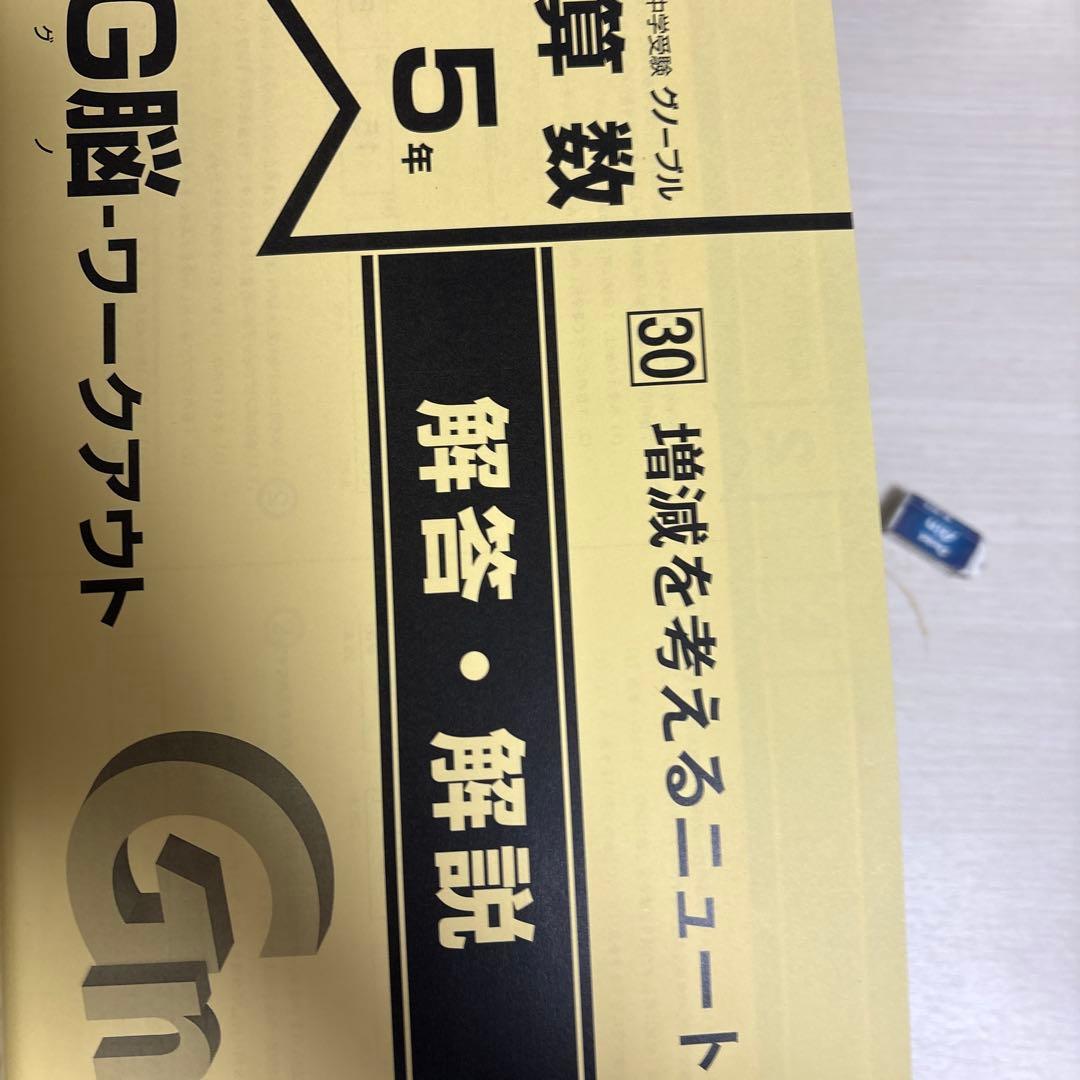 中学受験グノーブル　算数5年 G脳ワークアウト　全30冊