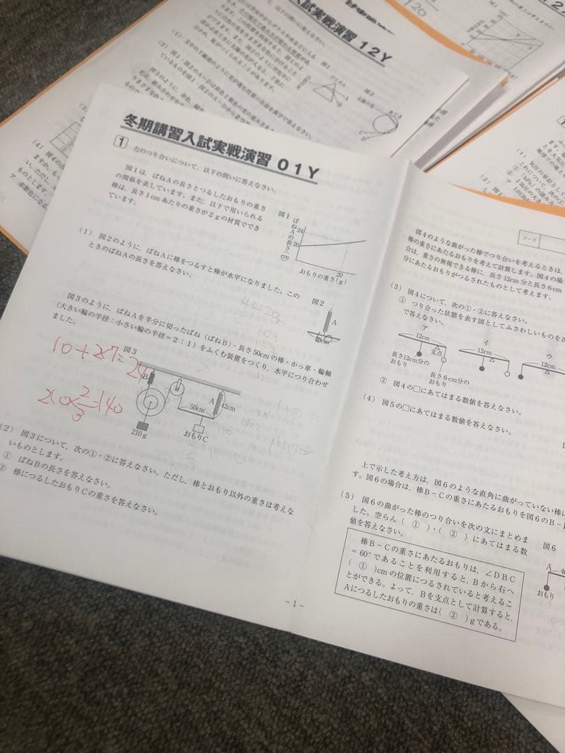 サピックス６年理科　デイリー/夏期集中/春夏/土特 /日特　中古　２０２５年受験