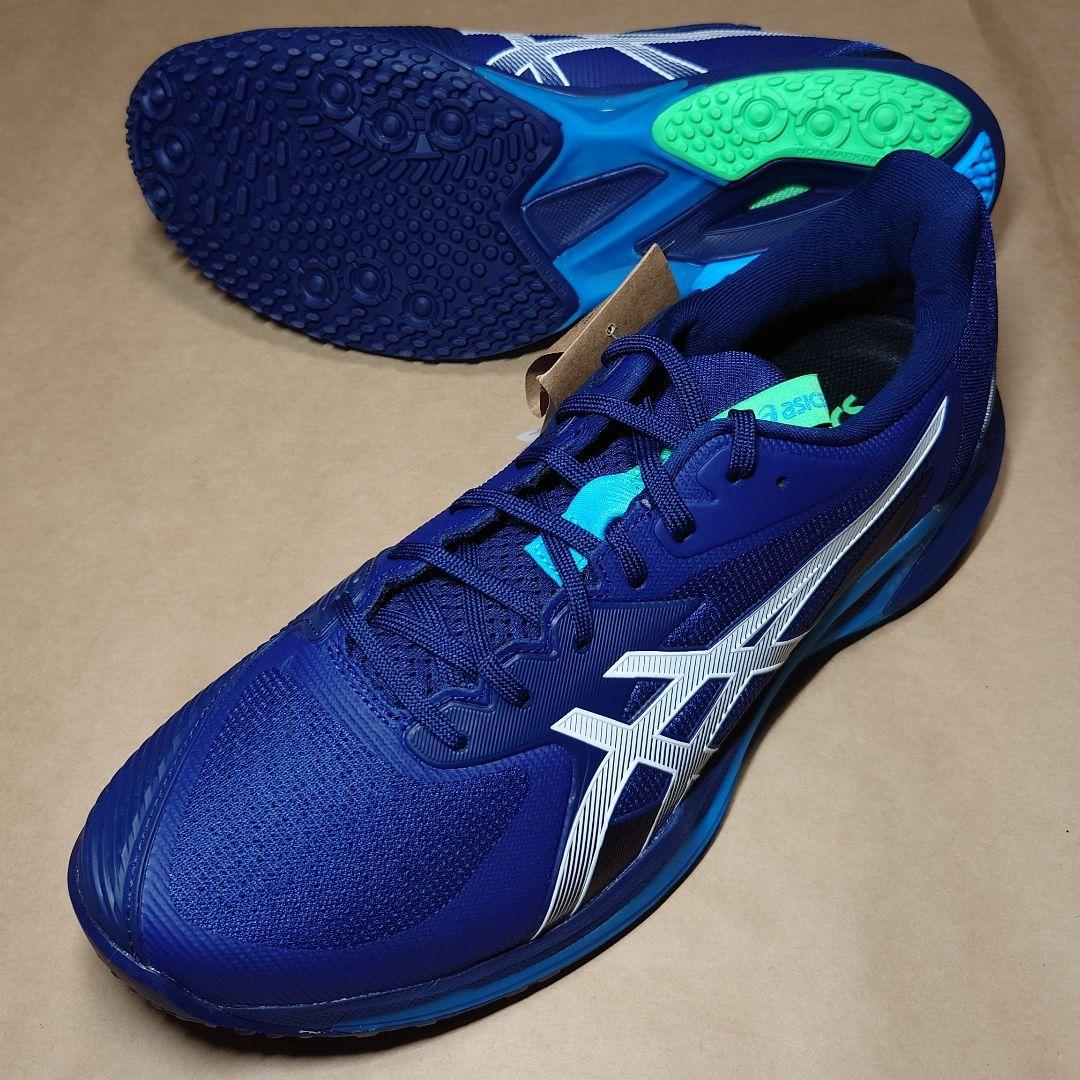 テニス 29cm アシックス SOLUTION SPEED FF 3 OC