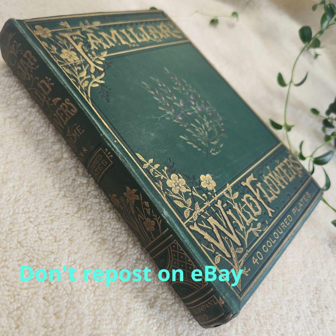 植物図鑑　洋書　ボタニカルアート　アンティーク　リトグラフ　24