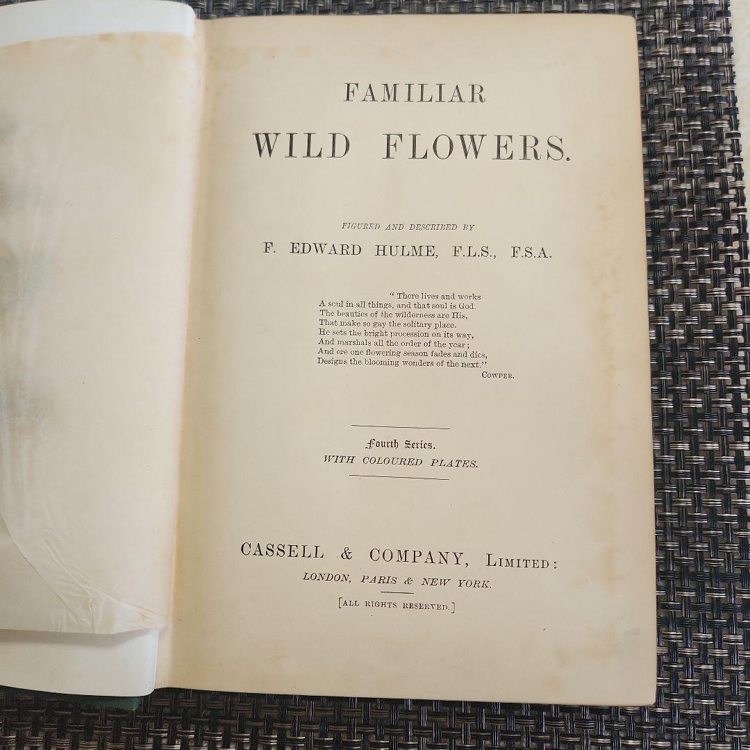 植物図鑑　洋書　ボタニカルアート　アンティーク　リトグラフ　24