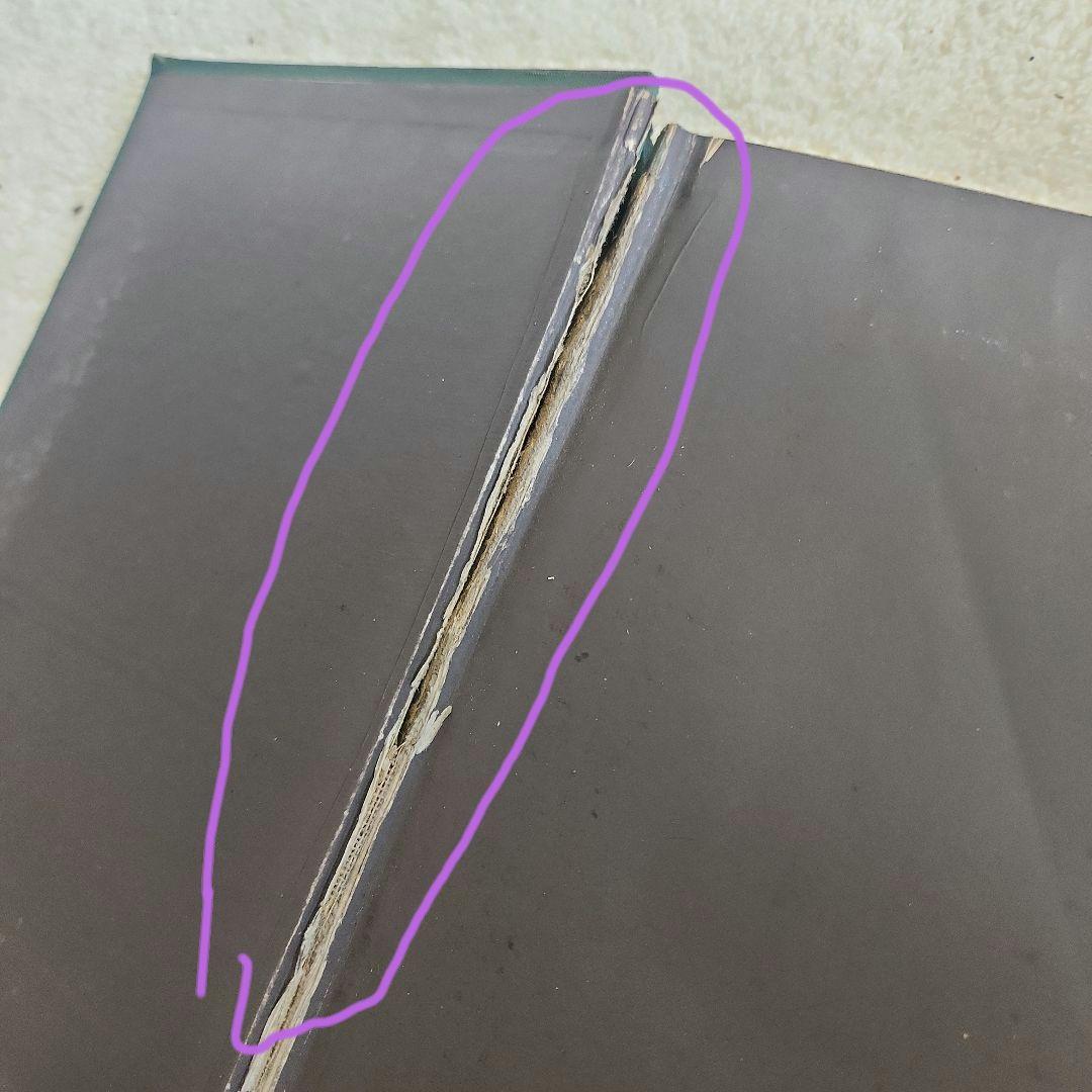 植物図鑑　洋書　ボタニカルアート　アンティーク　リトグラフ　24