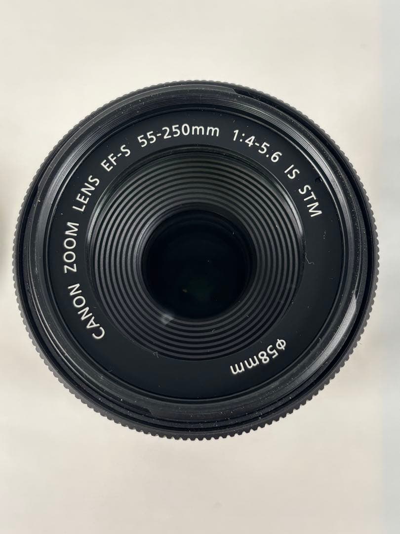【美品】Canon EF-S 55-250mm ズーム レンズ保護フィルター付き