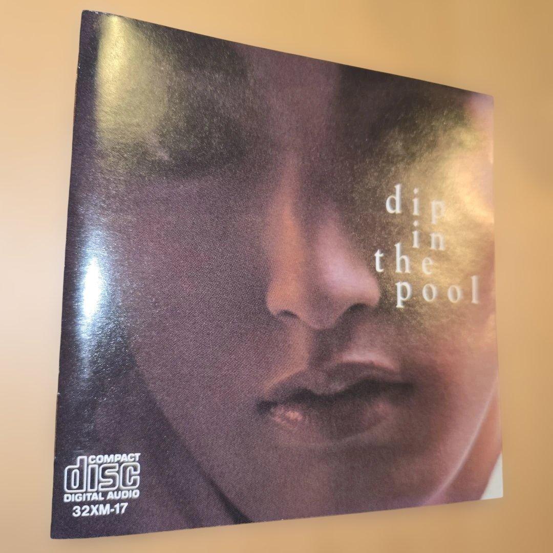 dip in the pool 　ディップインザプール 1986年