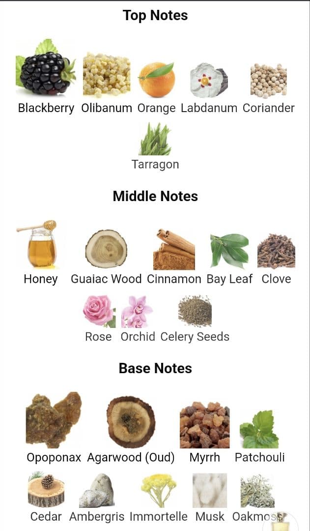 香水(男性用) Amouage Jubilation XXV Man 100ml