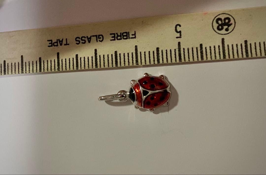 k18 ウノアエレ　テントウムシ　チャーム