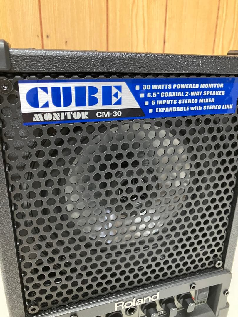 E03 Roland ローランド CUBE CM-30 モニタースピーカー
