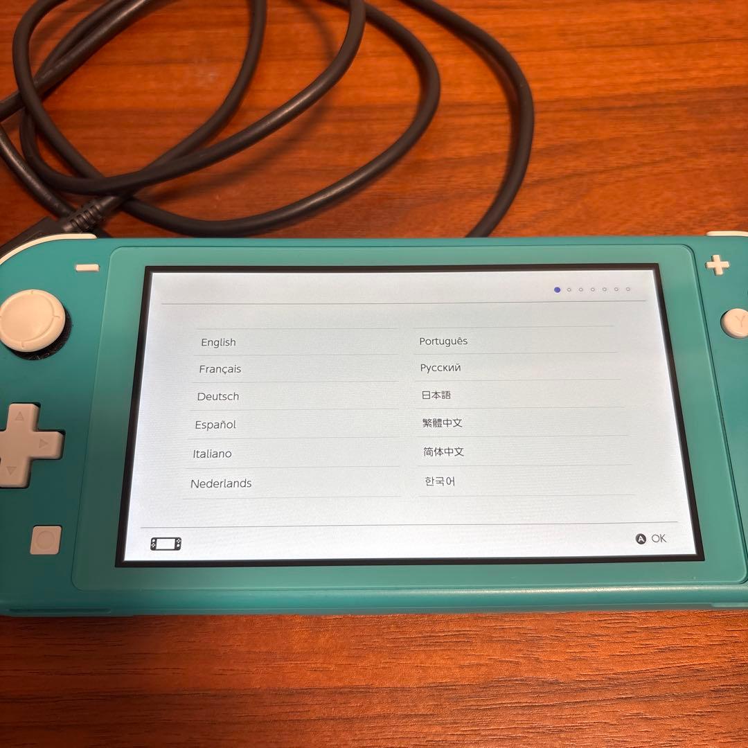 Nintendo Switch Lite ターコイズ　充電器・SDカード64GB