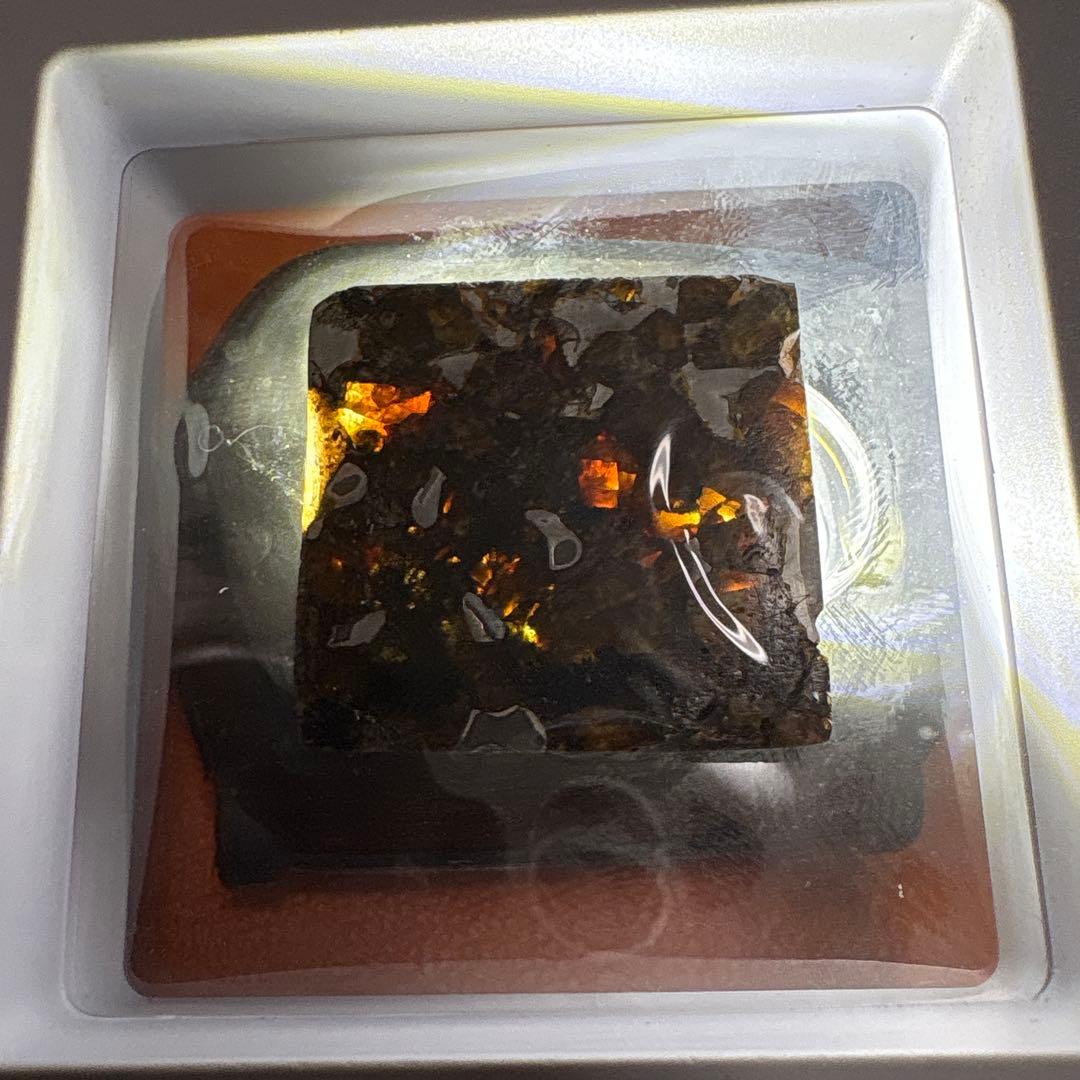 イミラック パラサイト 隕石 Imilac