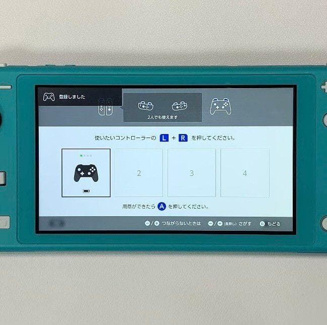 Nintendo Switch Lite 本体 動作品 どうぶつの森 ケース付き