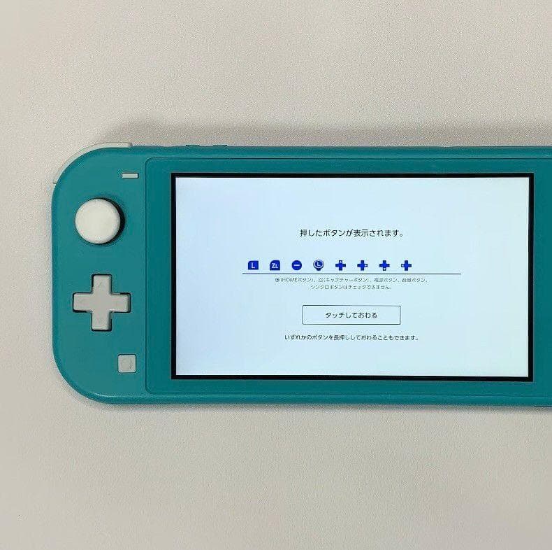 Nintendo Switch Lite 本体 動作品 どうぶつの森 ケース付き