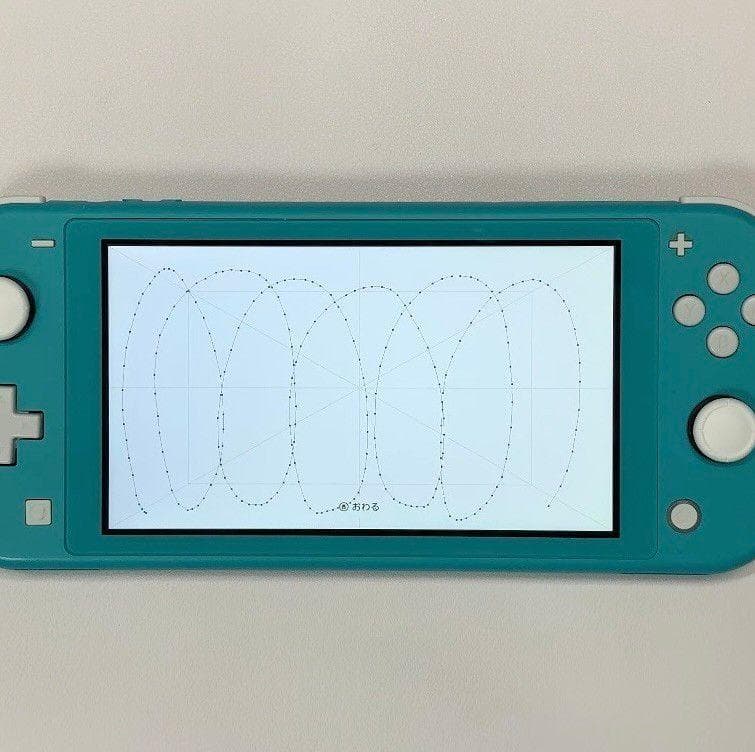 Nintendo Switch Lite 本体 動作品 どうぶつの森 ケース付き