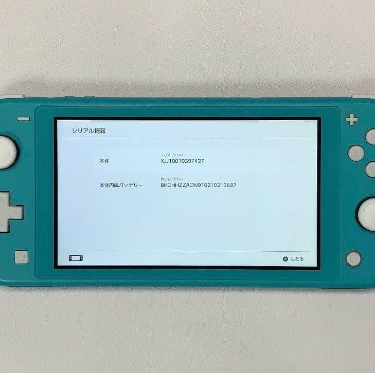 Nintendo Switch Lite 本体 動作品 どうぶつの森 ケース付き