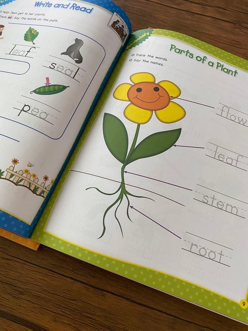 CTP Learn To Read ワークブック 12冊セット