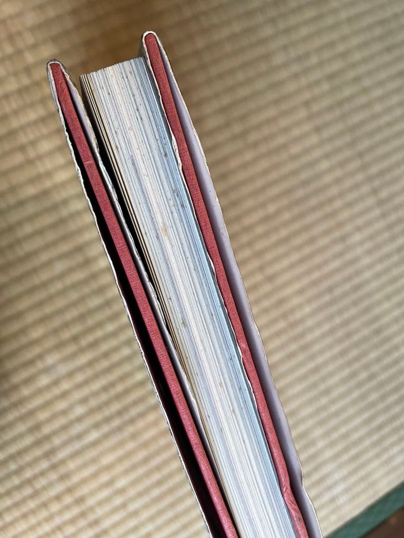 佐伯俊男　作品集　痴虫　Toshio Saeki 画集　寺山修司