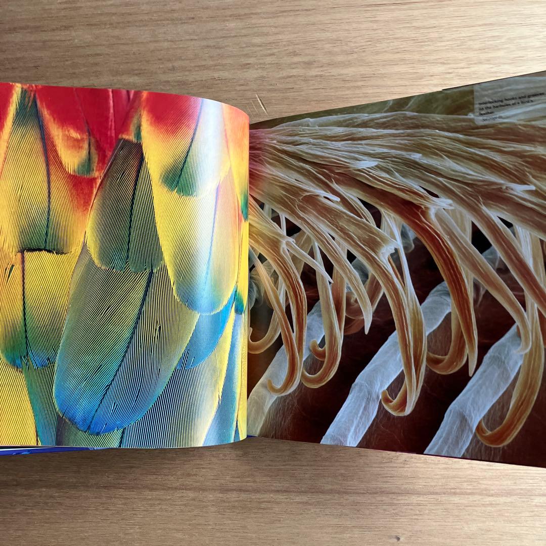 [NANO NATURE]R.ジョーンズ　英コリンズ社電子顕微鏡による驚異の実相