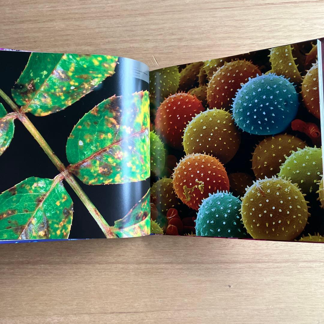 [NANO NATURE]R.ジョーンズ　英コリンズ社電子顕微鏡による驚異の実相