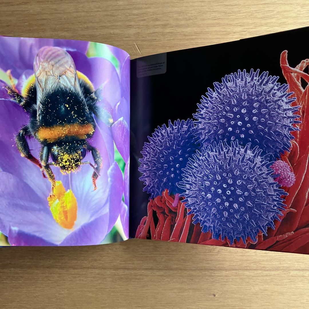 [NANO NATURE]R.ジョーンズ　英コリンズ社電子顕微鏡による驚異の実相