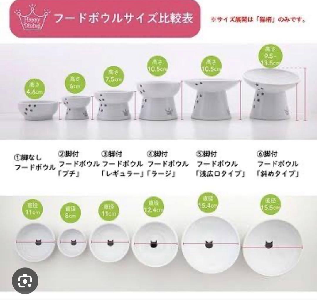 猫壱　猫と葉っぱ　フードボウルレギュラー　Lサイズ ウォーターボウル3点セット