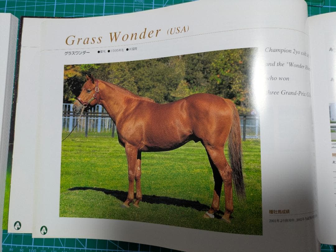 「社台スタリオンＳ種牡馬カタログ 2002年版 ウマ娘登場名馬多数掲載」