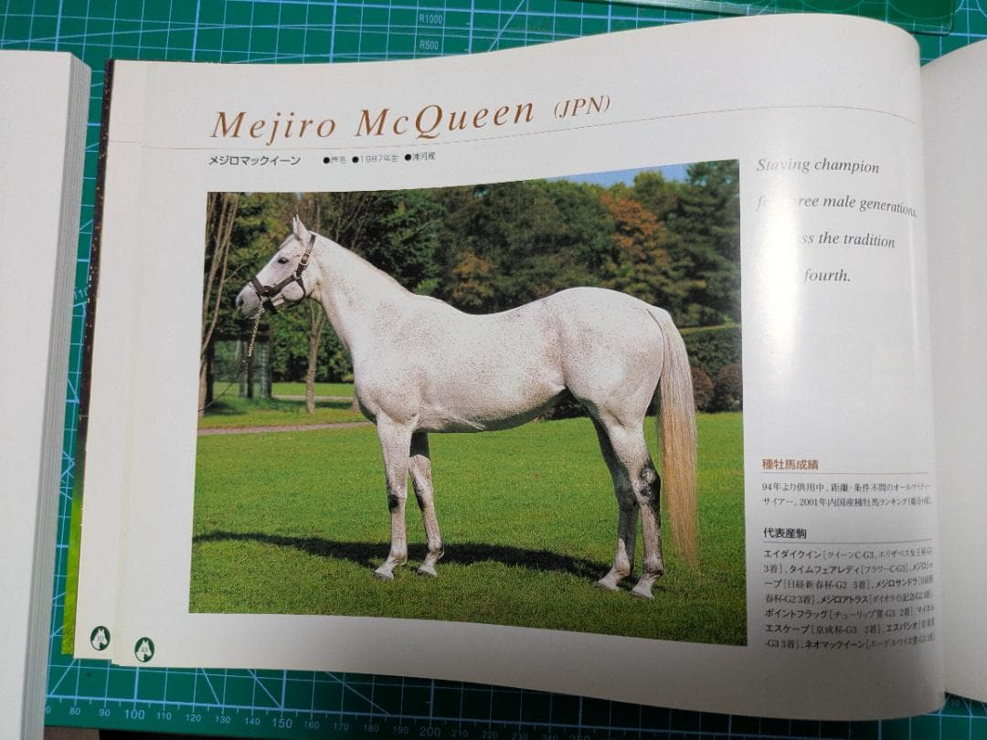 「社台スタリオンＳ種牡馬カタログ 2002年版 ウマ娘登場名馬多数掲載」