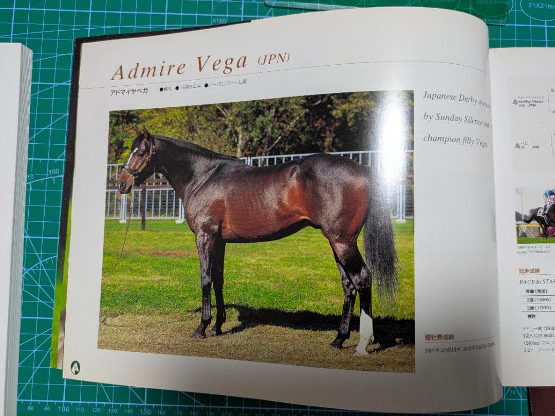 「社台スタリオンＳ種牡馬カタログ 2002年版 ウマ娘登場名馬多数掲載」