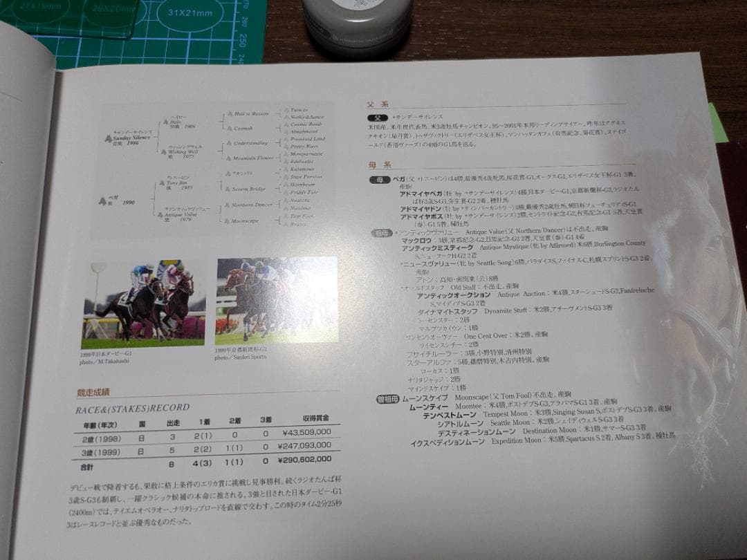 「社台スタリオンＳ種牡馬カタログ 2002年版 ウマ娘登場名馬多数掲載」