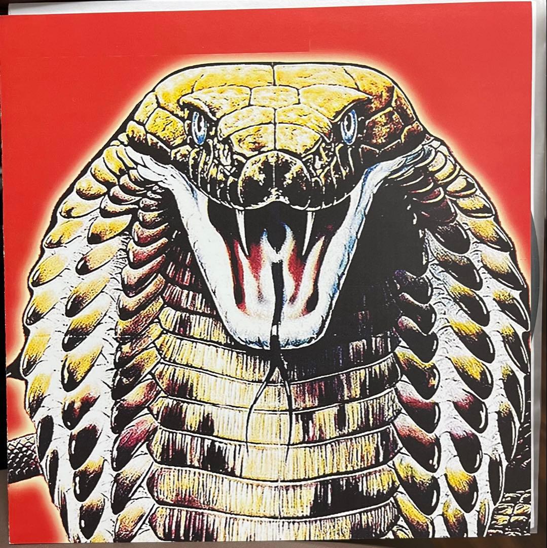 Zeke / Antiseen split ep オリジナル　レコード　入手困難