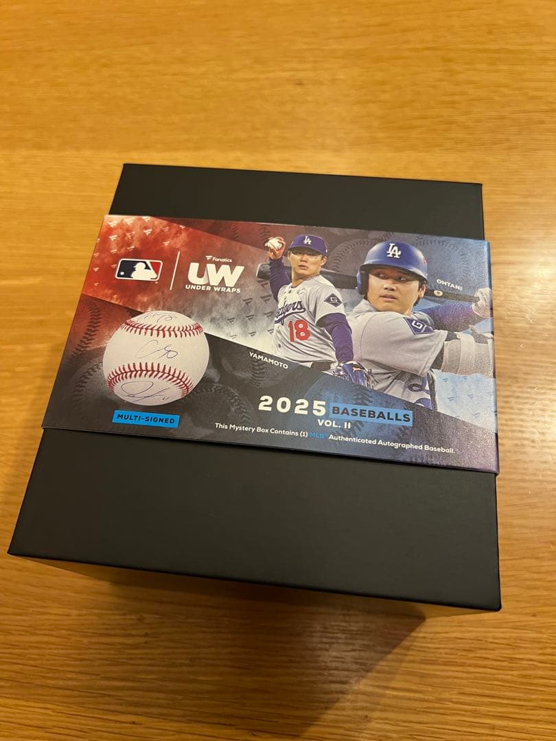 Anthony Volpe Game-Used 直筆サインボール