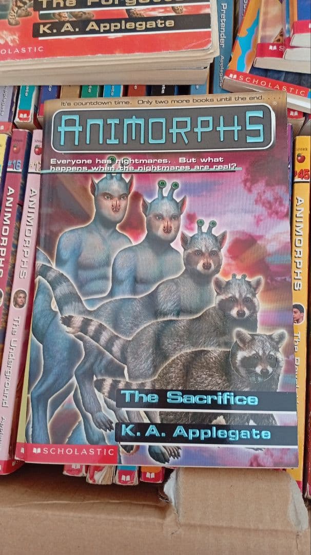 【引き取り限定】 Animorphs 全巻セット K.A. Applegate